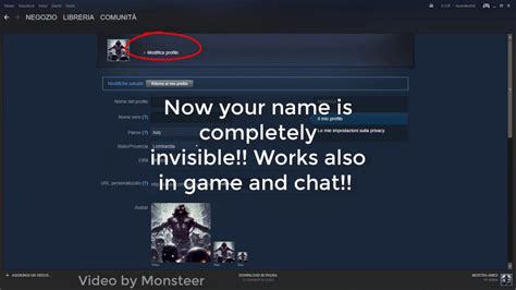 steam invisible|steam invisible name pastebin.